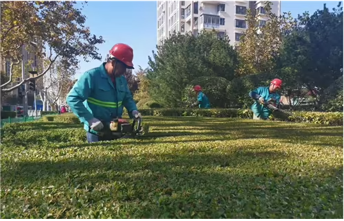 校园园林景观的功能性论文发表分析