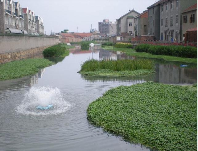 城市河道的常用整治技术及使用发表论文问题